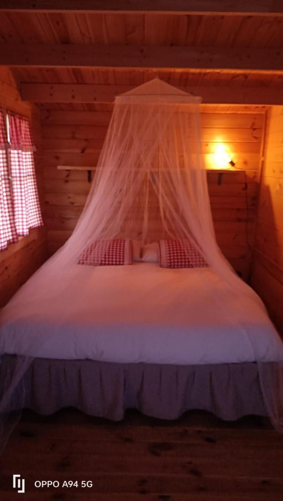 La Vecchia Stalla B&B 纳尔尼 外观 照片
