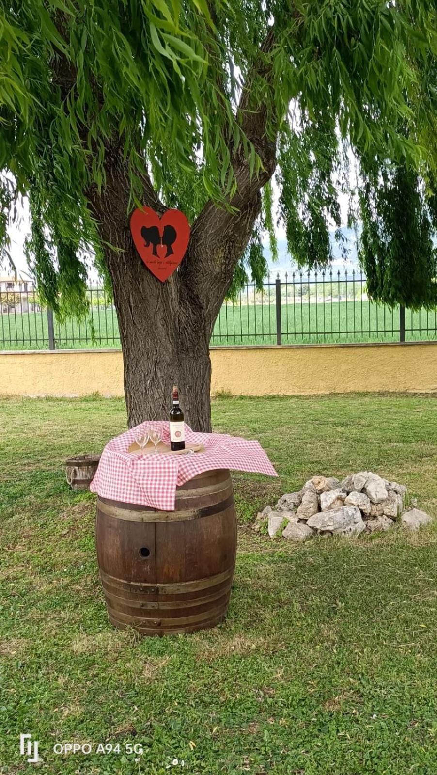 La Vecchia Stalla B&B 纳尔尼 外观 照片