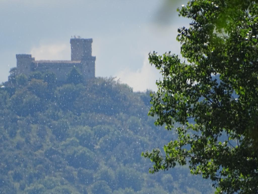 La Vecchia Stalla B&B 纳尔尼 外观 照片